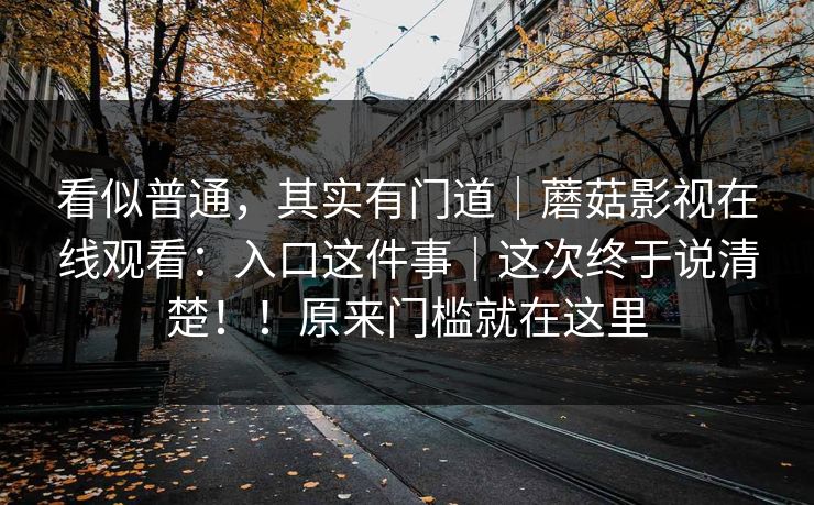 看似普通，其实有门道｜蘑菇影视在线观看：入口这件事｜这次终于说清楚！！原来门槛就在这里